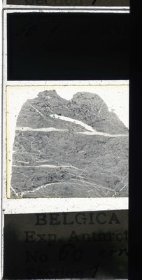belgica antarctica expeditie 60.1a.jpg