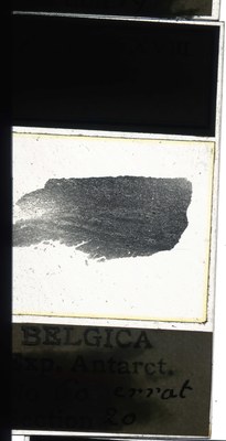 belgica antarctica expeditie 60.20a.jpg