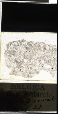 belgica antarctica expeditie 60.21a.jpg