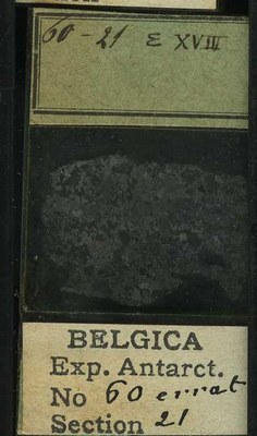 belgica antarctica expeditie 60.21b.jpg