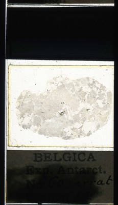 belgica antarctica expeditie 60.22a.jpg