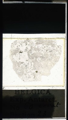 belgica antarctica expeditie 60.23a.jpg
