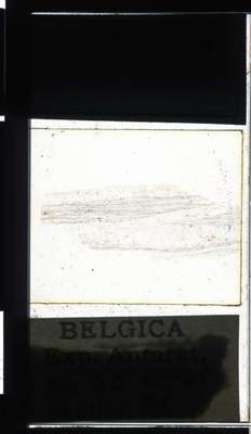 belgica antarctica expeditie 60.24a.jpg