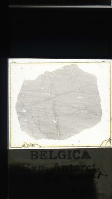 belgica antarctica expeditie 60.26a.jpg