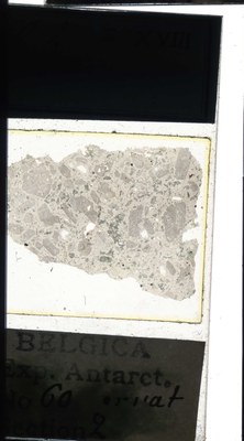 belgica antarctica expeditie 60.2a.jpg