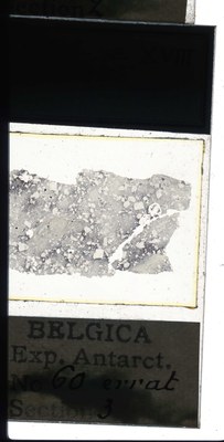 belgica antarctica expeditie 60.3a.jpg