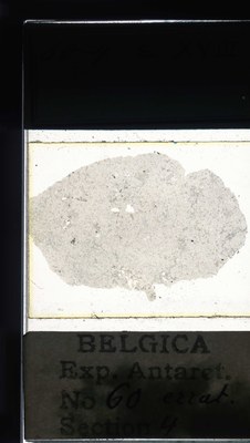 belgica antarctica expeditie 60.4a.jpg