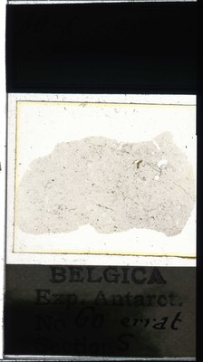belgica antarctica expeditie 60.5a.jpg