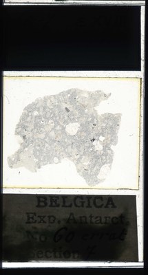 belgica antarctica expeditie 60.7a.jpg