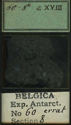 belgica antarctica expeditie 60.8b.jpg
