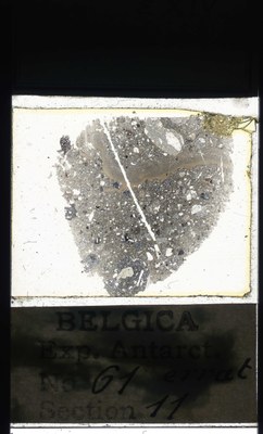belgica antarctica expeditie 61.11a.jpg