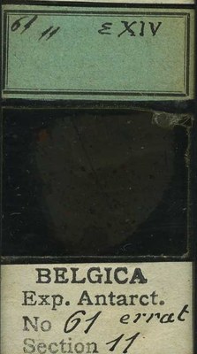 belgica antarctica expeditie 61.11b.jpg