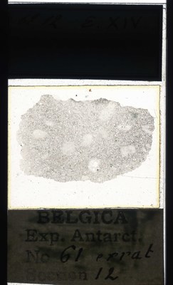 belgica antarctica expeditie 61.12a.jpg