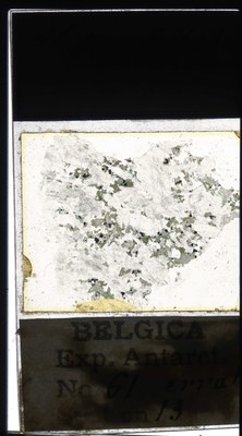 belgica antarctica expeditie 61.13a.jpg