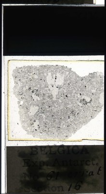 belgica antarctica expeditie 61.16a.jpg