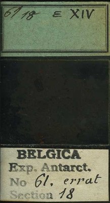 belgica antarctica expeditie 61.18b.jpg