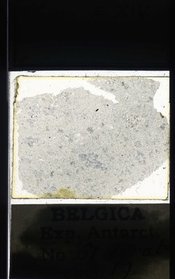 belgica antarctica expeditie 61.19a.jpg