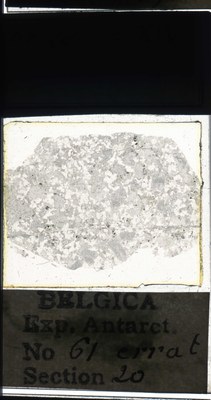 belgica antarctica expeditie 61.20a.jpg
