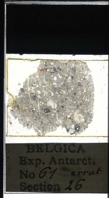 belgica antarctica expeditie 61.26a.jpg