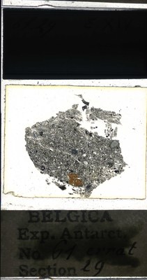 belgica antarctica expeditie 61.29a.jpg