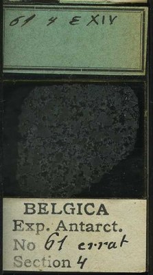 belgica antarctica expeditie 61.4b.jpg
