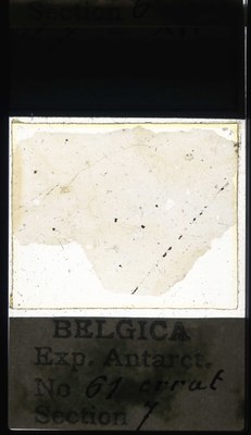 belgica antarctica expeditie 61.7a.jpg