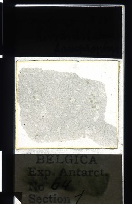belgica antarctica expeditie 64.1a.jpg