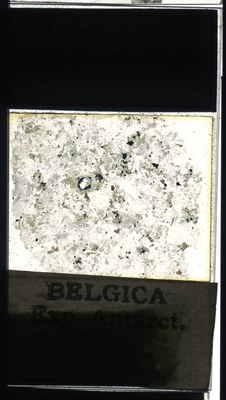 belgica antarctica expeditie 66.1a.jpg