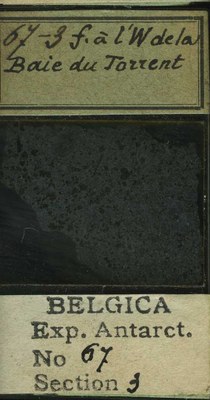 belgica antarctica expeditie 67.3b.jpg