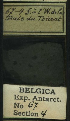 belgica antarctica expeditie 67.4b.jpg
