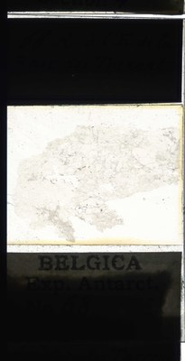 belgica antarctica expeditie 68a.jpg