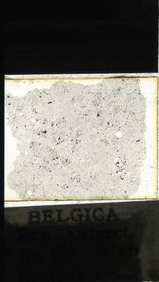 belgica antarctica expeditie 69a.jpg