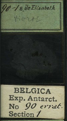 belgica antarctica expeditie 90.1b.jpg