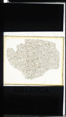 belgica antarctica expeditie 90.5a.jpg