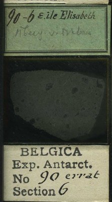 belgica antarctica expeditie 90.6b.jpg