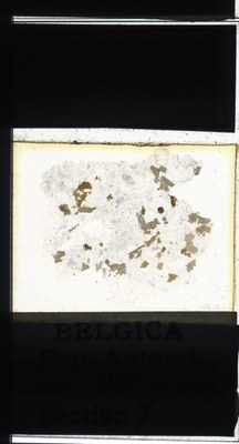 belgica antarctica expeditie 90.7a.jpg