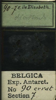 belgica antarctica expeditie 90.7b.jpg