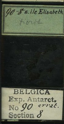belgica antarctica expeditie 90.8b.jpg