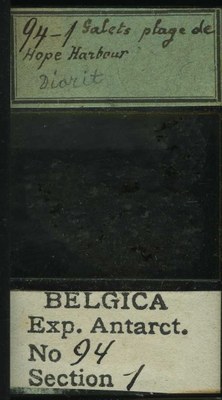 belgica antarctica expeditie 94.1b.jpg