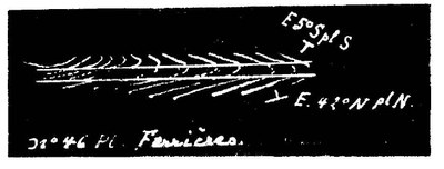 158E0046 profile (2).JPG