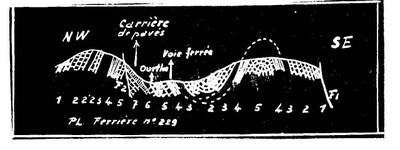 158E0229 profile (1).JPG