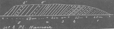 158W0002 profile.jpg