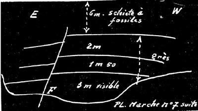 177E0007 profile.jpg