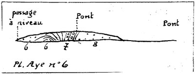 177W0006 profile.jpg