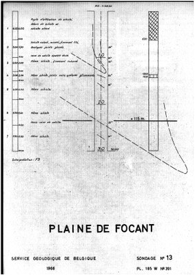 185W0391 profile.jpg