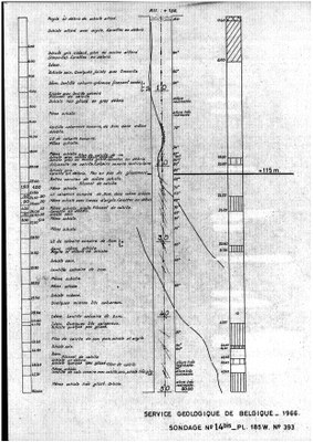 185W0393 profile.jpg