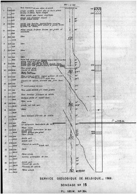 185W0394 profile.jpg