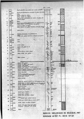 185W0401 profile.jpg