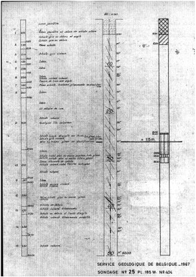 185W0404 profile.jpg