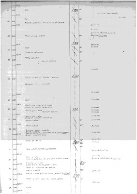 185W0405d profile.jpg